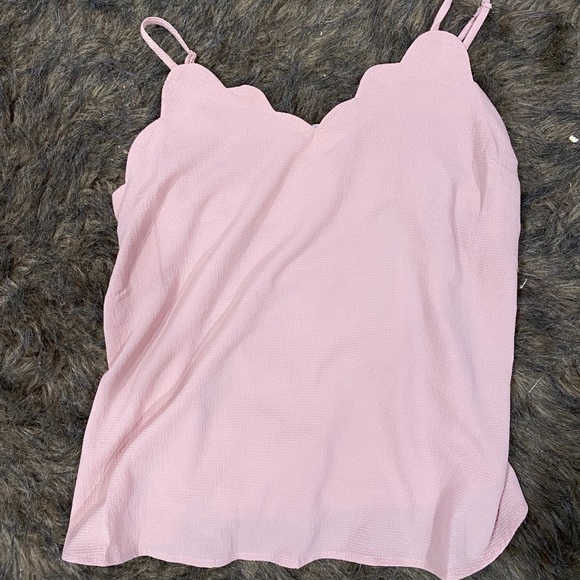 Tops - Scallop tank